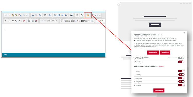 E-Privacy - Insertion du tag cookies depuis zone de contenu