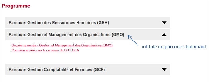 exemple intitulé du parcours diplômant