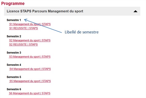 Programme avec libellé de semestre dans la formation