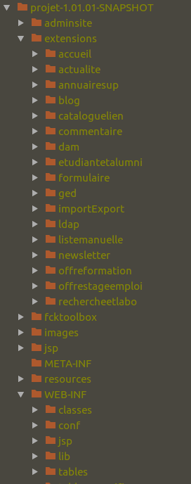 Organisation du projet