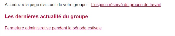 tags de groupe en front office